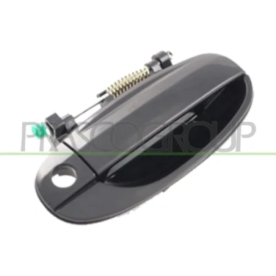 Afbeelding van Portiergreep buitenkant PRASCO DW3268007