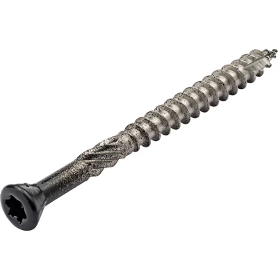 Afbeelding van Vlonderschroef RVS zwarte kop met snijpunt 4,0 x 40 mm Torx20 (200 stuks)