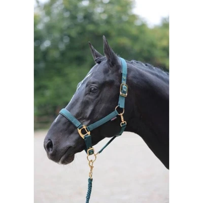 Afbeelding van Covalliero Halster TopLine Forest Full