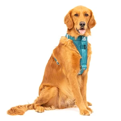 Afbeelding van Kurgo Tru Fit Autoveiligheidstuigje voor honden, met gevoerd borstdeel en D ring, autogordel, maat XL, inktblauw