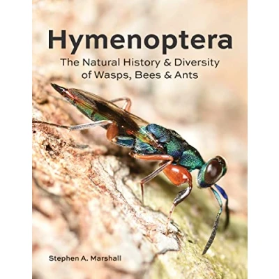 Afbeelding van Hymenoptera: The Natural History and Diversity of Wasps, Bees Ants