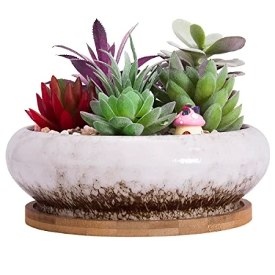 Afbeelding van ARTKETTY Vetplantenpot, 18,5 cm grote bonsaipot met dienblad, keramische vetplant drainagegat, ondiepe cactusbloempotten voor binnen/buitenplanten geglazuurde plantenbak, wit