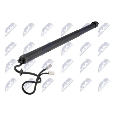 Afbeelding van NTY AE CT 057 Gasveer achterklep Links achter
