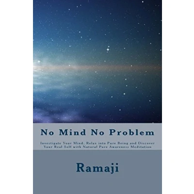 Afbeelding van No Mind Problem: Investigate Your Mind, Relax into Pure Being and Discover Real Self With Natural Awareness Meditation
