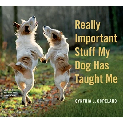 Afbeelding van Really Important Stuff My Dog