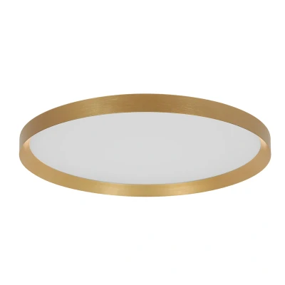 Afbeelding van Steinhauer plafonniere Flady goud metaal 50 cm ingebouwde LED module 3686GO