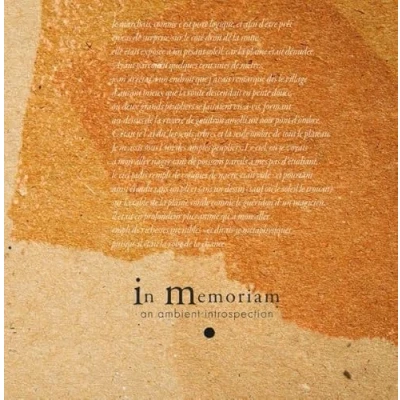 Afbeelding van Various Artists In Memoriam: An Ambient Introspection Compilation (LP)