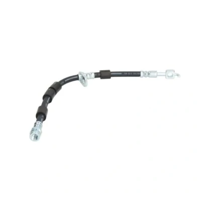 Afbeelding van Delphi Diesel Remslang LH7033