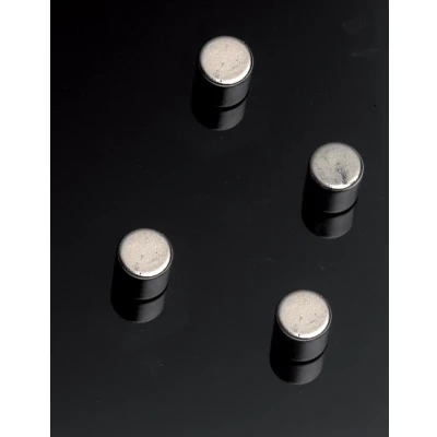 Afbeelding van Naga magneet voor glasborden, cilinder, 4 stuks magneten