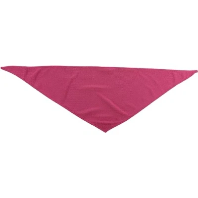 Afbeelding van Flamingo Fresk Inou Koelbandana Honden M Roze 70x25cm 1st 136497