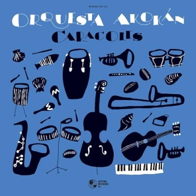 Afbeelding van Orquesta Akokan Caracoles (LP)