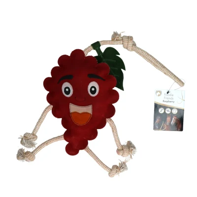 Afbeelding van Hofman Foody Friend Raspberry