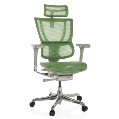Afbeelding van ERGOHUMAN SLIM G GEN2 net Luxe directiestoel Groen