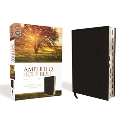 Afbeelding van Amplified Holy Bible, Bonded Leather, Black, Thumb Indexed: Captures the Full Meaning Behind Original Greek and Hebrew