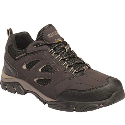 Afbeelding van Wandelschoenen Men Regatta Holcombe IEP Low Peat Golden Fawn Schoenmaat 45