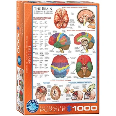 Afbeelding van Eurographics 1000 stukjes: de hersenen