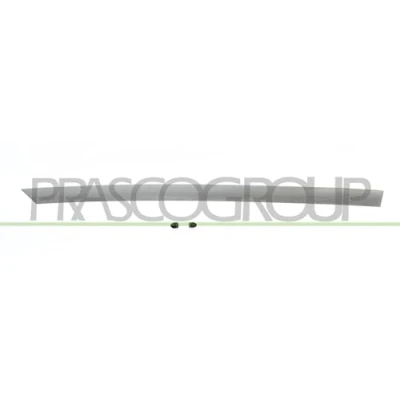 Afbeelding van Sier / beschermingspaneel, deur PRASCO DA3241463