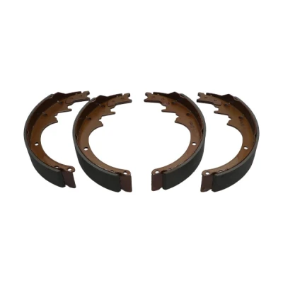 Afbeelding van Kavo Parts Remschoen set KBS 7426