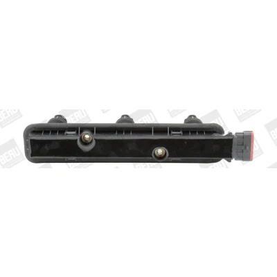 Afbeelding van Bobine BorgWarner (BERU) ZSE152