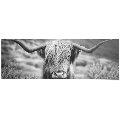 Afbeelding van Reinders! Poster Highlander stier diermotief close up Schotse hooglander beeld