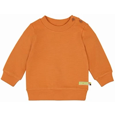 Afbeelding van loud + proud Unisex kinderen ribstructuur, Gots gecertificeerd shirt, karrood, 62/68 cm