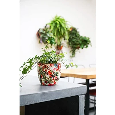 Afbeelding van Ivyline Indoor Plant Pot Monza Tropische Papegaai H15,5 cm D15,5 Rood/Crème, One Size