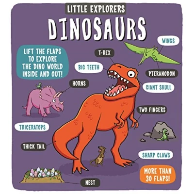 Afbeelding van Little Explorers: Dinosaurs