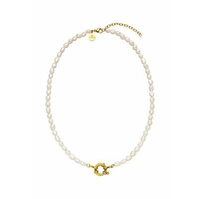 Afbeelding van Purelei Ketting, Dames, Maat: One Size, Goldfarben