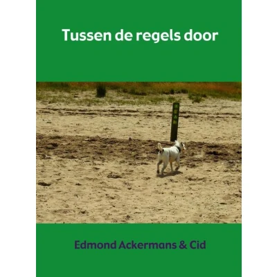 Afbeelding van Tussen de regels door