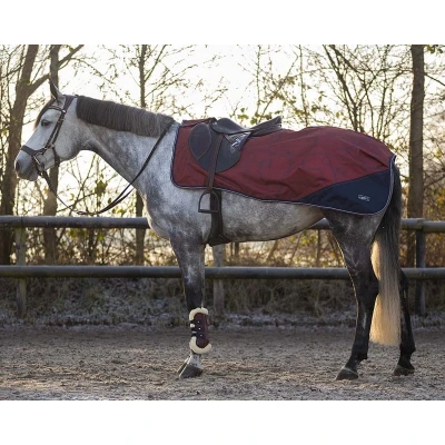 Afbeelding van QHP FW&#039;22 Uitrijdeken turnout collection fleece