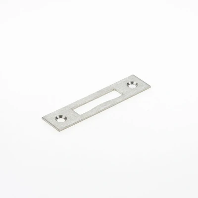 Afbeelding van Lips Sluitplaat RVS SPT 2455 R