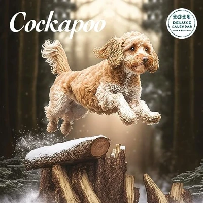 Afbeelding van Cockapoo Deluxe 2024 Kalender