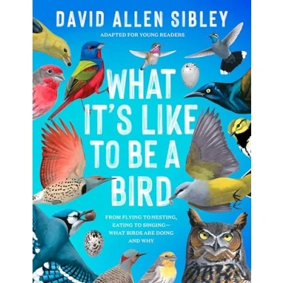 Afbeelding van What It&#039;s Like to Be a Bird (Adapted for Young Readers): From Flying Nesting, Eating Singing Birds Are Doing and Why