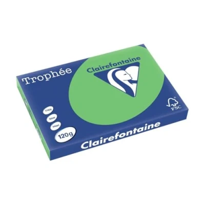 Afbeelding van Clairefontaine Trophée Intens, gekleurd papier, A3, 120 g, 250 vel, grasgroen papier