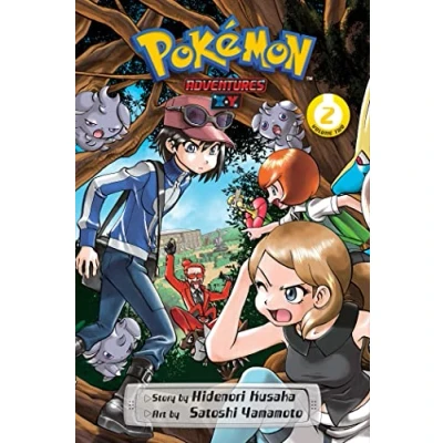 Afbeelding van Pokemon Adventures: X*Y, Vol. 2: Volume 2