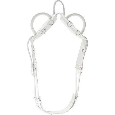 Afbeelding van Norton Voltigesingel Wit Pony 170cm
