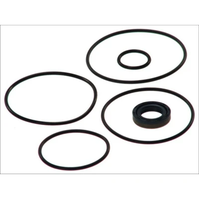 Afbeelding van Dt Spare Parts Servopomp 4.90064