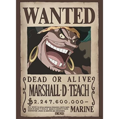 Afbeelding van Poster One Piece Wanted Blackbeard 38x52cm