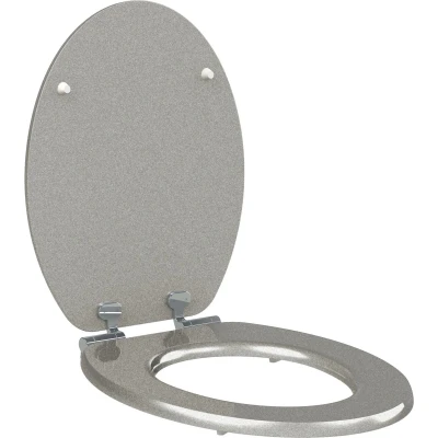Afbeelding van Wc bril Silver Soft close