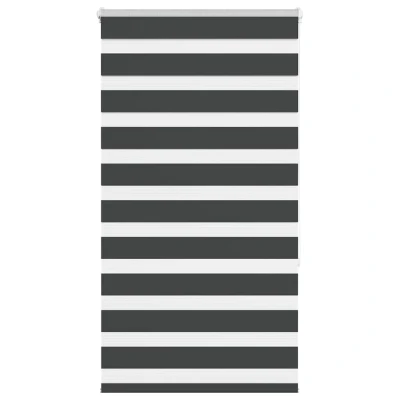Afbeelding van Zebra rolgordijn 70x150 cm stofbreedte 65,9 zwart