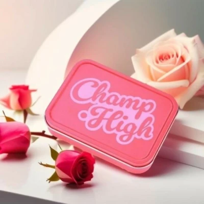 Afbeelding van Champ High Bewaarblik Warm Roze Tin Box