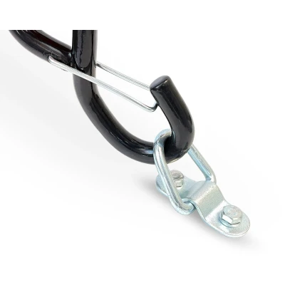 Afbeelding van D Ring 4 stuks Acebikes Webshop BouwmanAanhangwagens.nl