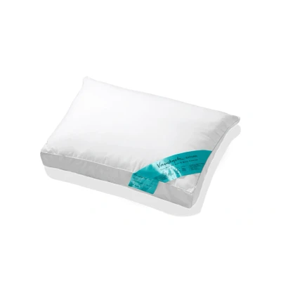 Afbeelding van Vandyck SATURN PILLOW 60 x 70 memory fiber