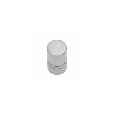 Afbeelding van Intersteel Meubelknop 13 mm rvs geborsteld