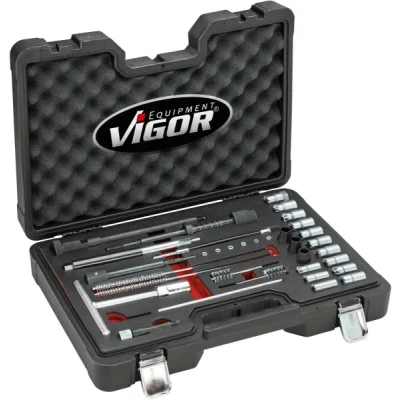 Afbeelding van Vigor V4941N Reinigingsset voor injectorschacht