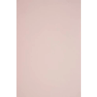 Afbeelding van Netuno 100 x gekleurd knutselkarton, lichtroze, DIN A4, 210 297 mm, g, Sirio Color nude, fotokarton, kleurrijk, karton, bruiloft, doop, Kerstmis, verjaardag,