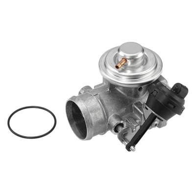 Afbeelding van Wahler EGR klep 7223D