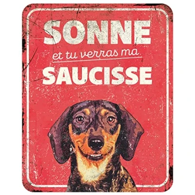 Afbeelding van D&amp;d Home Waakbord Hond Waarschuwingsbord Dachshund Fr 25x20x0,3cm Rood 1st