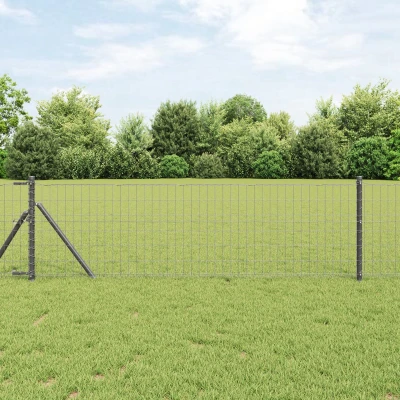 Afbeelding van vidaXL Euro hek Grijs 0,8x10 m staal