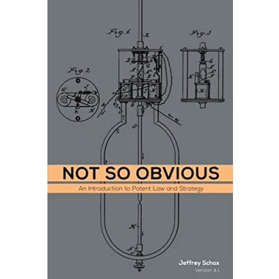 Afbeelding van Not So Obvious: An Introduction to Patent Law and Strategy